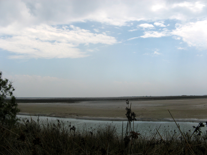 2007-07 Camargue 003.jpg